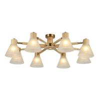 Накладная люстра ARTE Lamp A4096PL-8BR