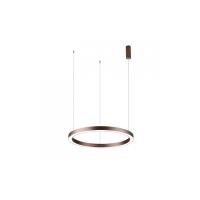 Подвесная люстра APLOYT APL.025.03.60