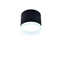 Накладной светильник Favourite 4214-1C