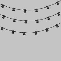 Гирлянда Белт-Лайт 2 жилы, 50м, шаг 20см, 250 патронов E27, IP65, черный круглый провод ПВХ NEON-NIGHT