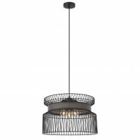 Подвесная люстра Favourite 2363-2P