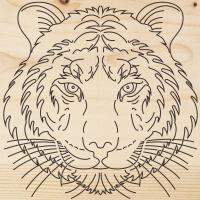 Доска для выжигания "Тигр" 150х150мм пакет Rexant 12-0903