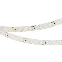Лента светодиодная RZ-A160-15mm 24V White 6000К 19.2Вт/м IP20 2835 (уп.5м) Arlight 036016