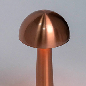 Настольная лампа Escada 10257/L LED