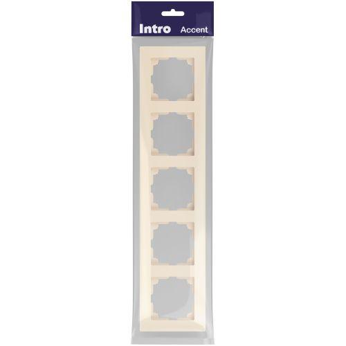 Рамка 5-м СП Accent 6-505-02 сл.кость Intro Б0063774