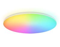 Накладной светильник Ambrella Light FZ2003