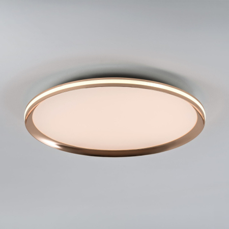 Накладной светильник LED4U L3020-500 GD