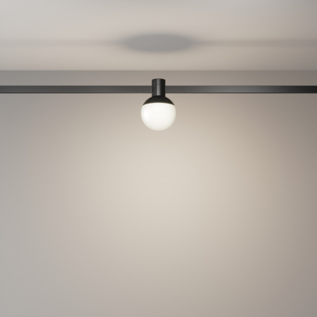 Светильник на шине Maytoni Technical TR149-1-5W4K-B