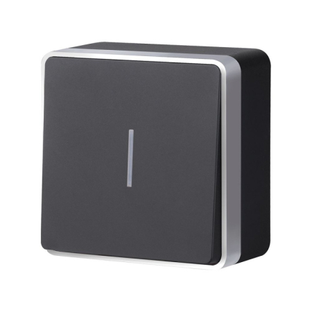 Выключатель Werkel W5010134 черный с серебром