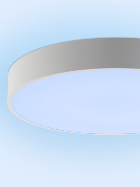 Накладной светильник Natali Kovaltseva LED LAMPS 81105/1C