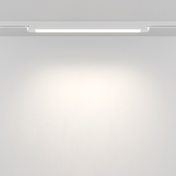 Светильник на шине Maytoni Technical TR000-1-24W4K-W_1