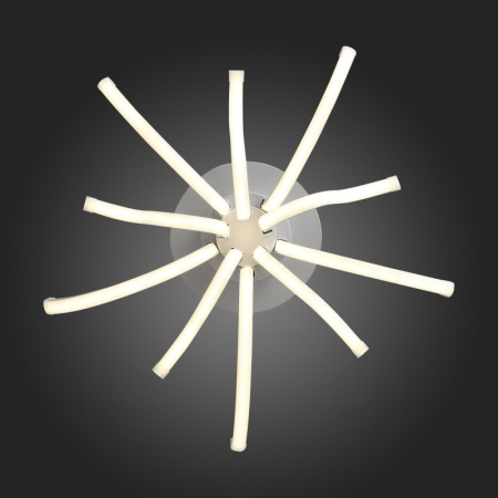 Накладная люстра ST-Luce SL826.502.10