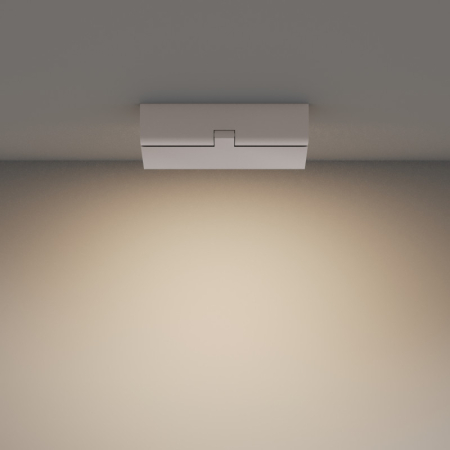 Накладной светильник Maytoni Technical C133CL-12W3K-W