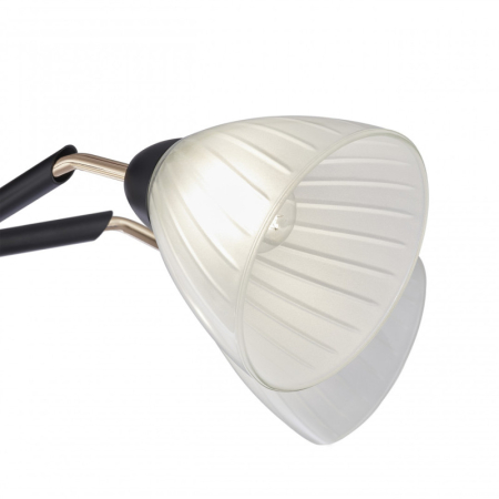 Накладная люстра Arte Milano 324108/5 BK+FG