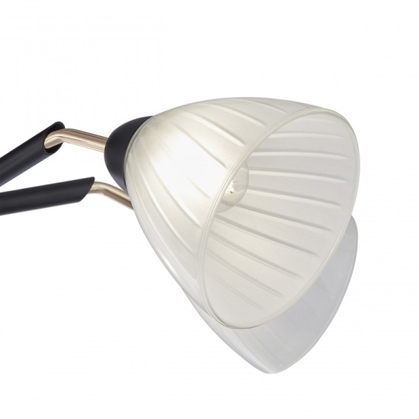 Накладная люстра Arte Milano 324108/5 BK+FG