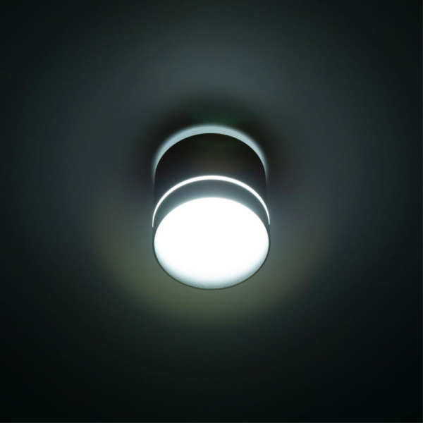 Накладной светильник Citilux CL745021N