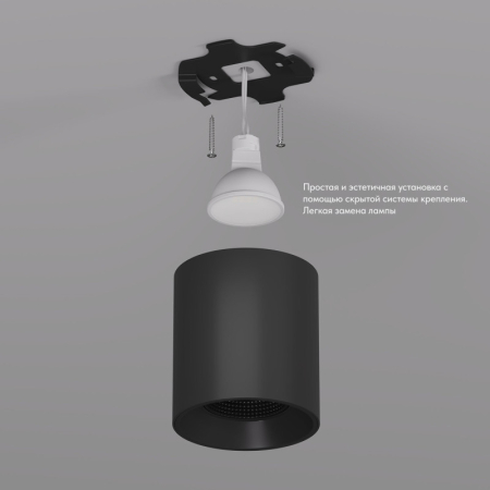 Накладной светильник Denkirs DK3090-BK