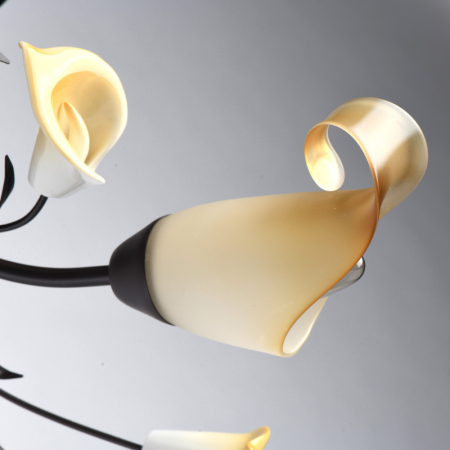 Накладная люстра MW-Light 242017006