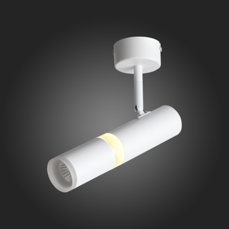 Спот ST-Luce ST106.502.08