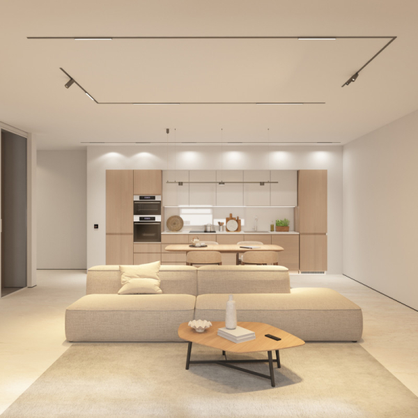 Светильник на шине Denkirs DK5952-DN