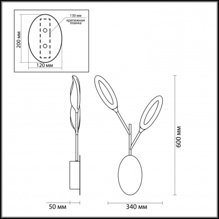 Бра Odeon Light 3903/14WL