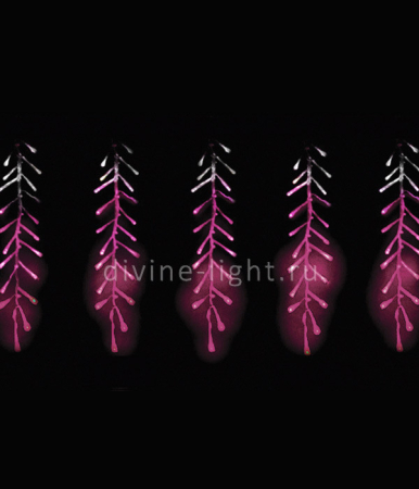 Светодиодная бахрома Laitcom ESI160-SH10-1WP