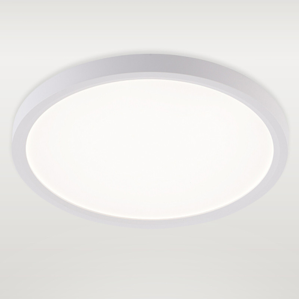 Накладной светильник Natali Kovaltseva LED LAMPS 81113/2C