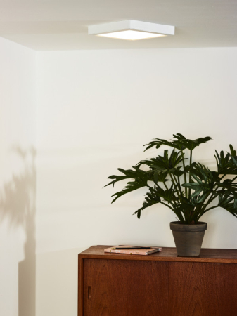 Накладной светильник LUCIDE 07106/18/31