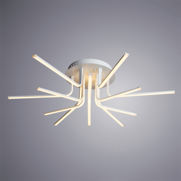 Накладной светильник ARTE Lamp A6207PL-12WH