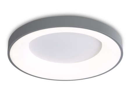 Накладной светильник Ambrella Light FZ1402