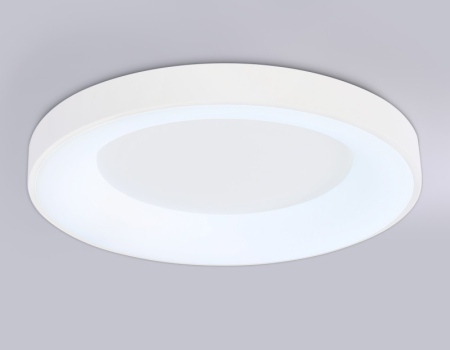 Накладной светильник Ambrella Light FZ1401