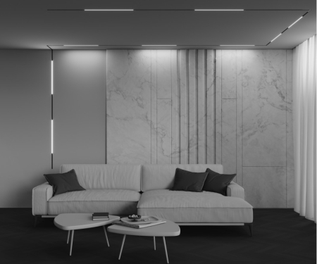 Светильник на шине Maytoni Technical TR240-2-12W3K-B