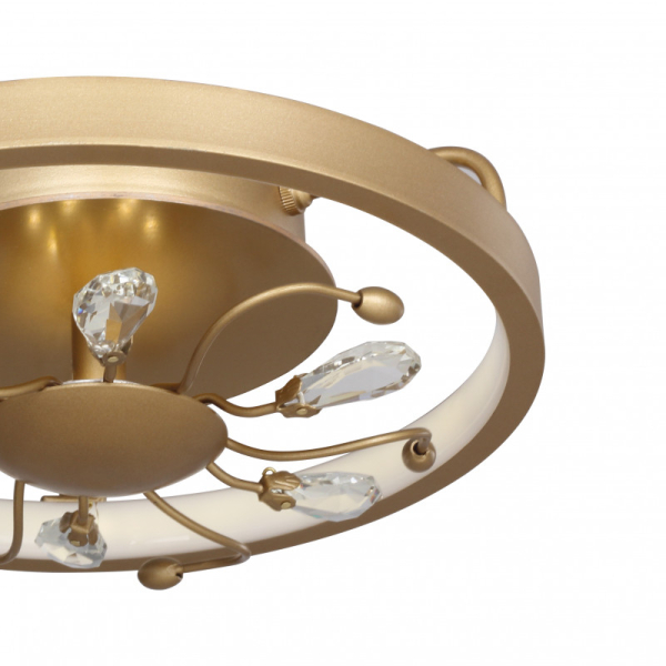 Накладной светильник Favourite 2534-2C