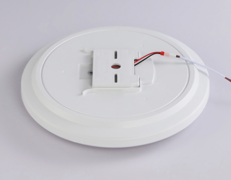 Накладной светильник Ambrella Light FZ2001