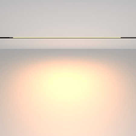 Светильник на шине Maytoni Technical TR231-2-15W3K-B