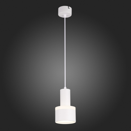 Подвесной светильник ST-Luce ST102.543.12