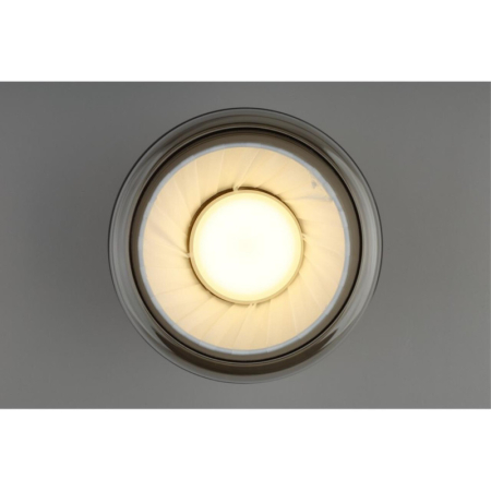 Накладной светильник APLOYT APL.089.07.08