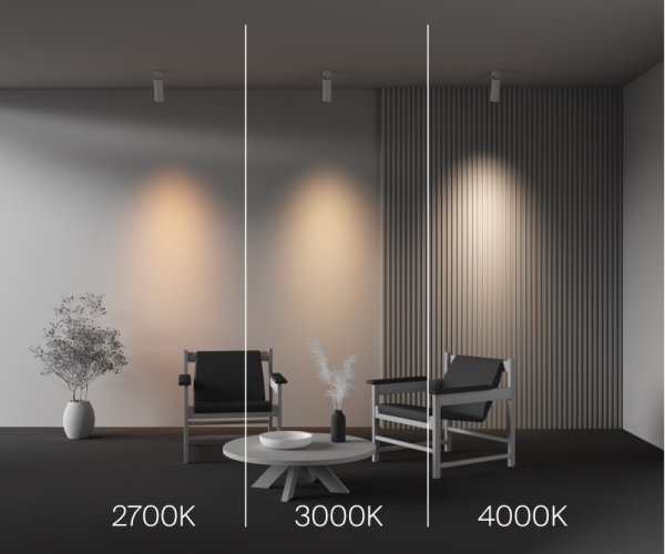 Спот Maytoni Technical C055CL-L20W2.7-3-4K-M-W