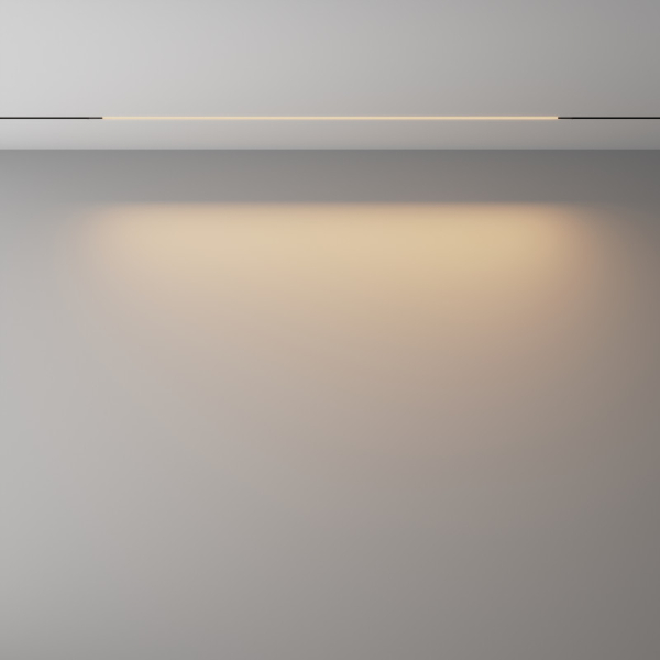 Светильник на шине Maytoni Technical TR240-2-18W3K-B