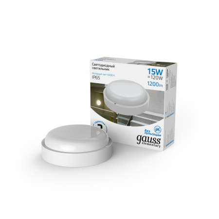 Пылевлагозащищенный светильник Gauss 126411315