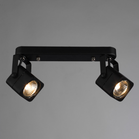 Спот ARTE Lamp A1314PL-2BK