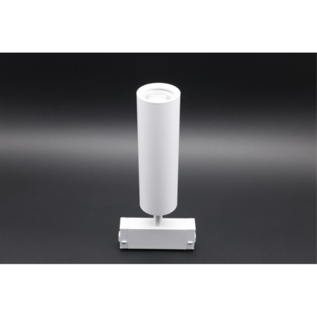 Светильник на шине APLOYT APL.0210.11.01