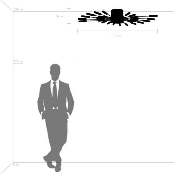 Накладная люстра Lightstar 732287