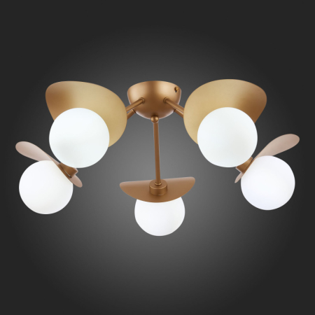 Накладная люстра Evoluce SLE220502-05