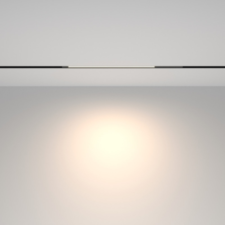 Светильник на шине Maytoni Technical TR231-2-10W4K-B