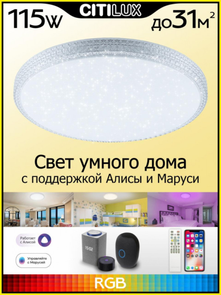 Накладной светильник Citilux CL718A100G
