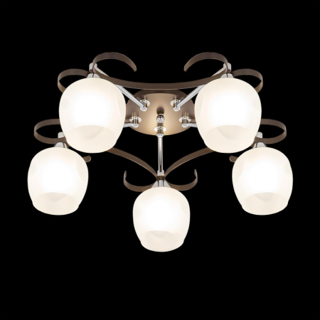 Накладная люстра Citilux CL171154