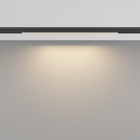 Светильник на шине Maytoni Technical TR190-1-5W3K-B