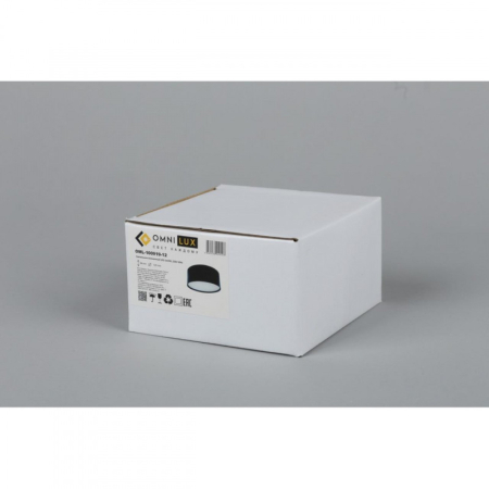 Накладной светильник Omnilux OML-100919-12