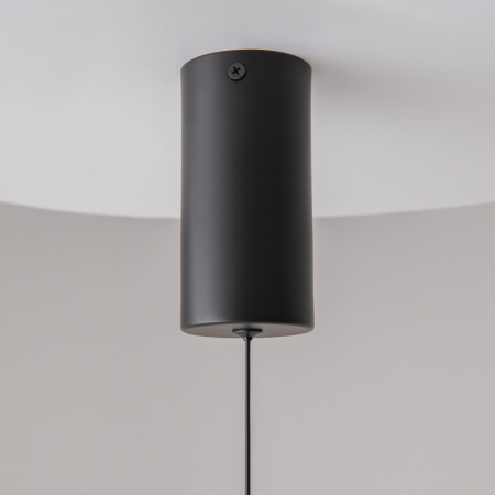 Подвесной светильник Maytoni Technical P022PL-L10B